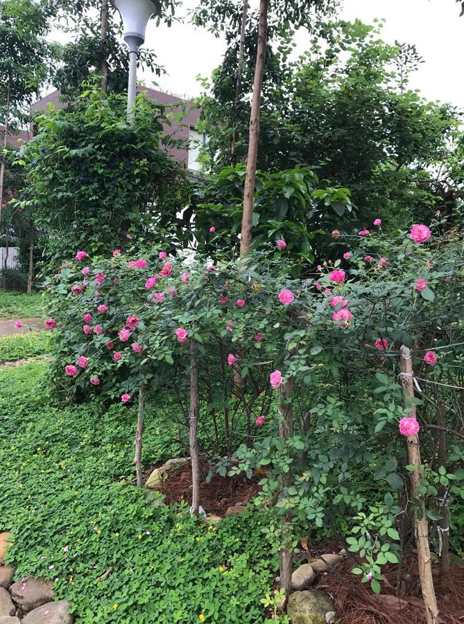 Flamingo Dailai - Hq Villa Ngọc Quang エクステリア 写真