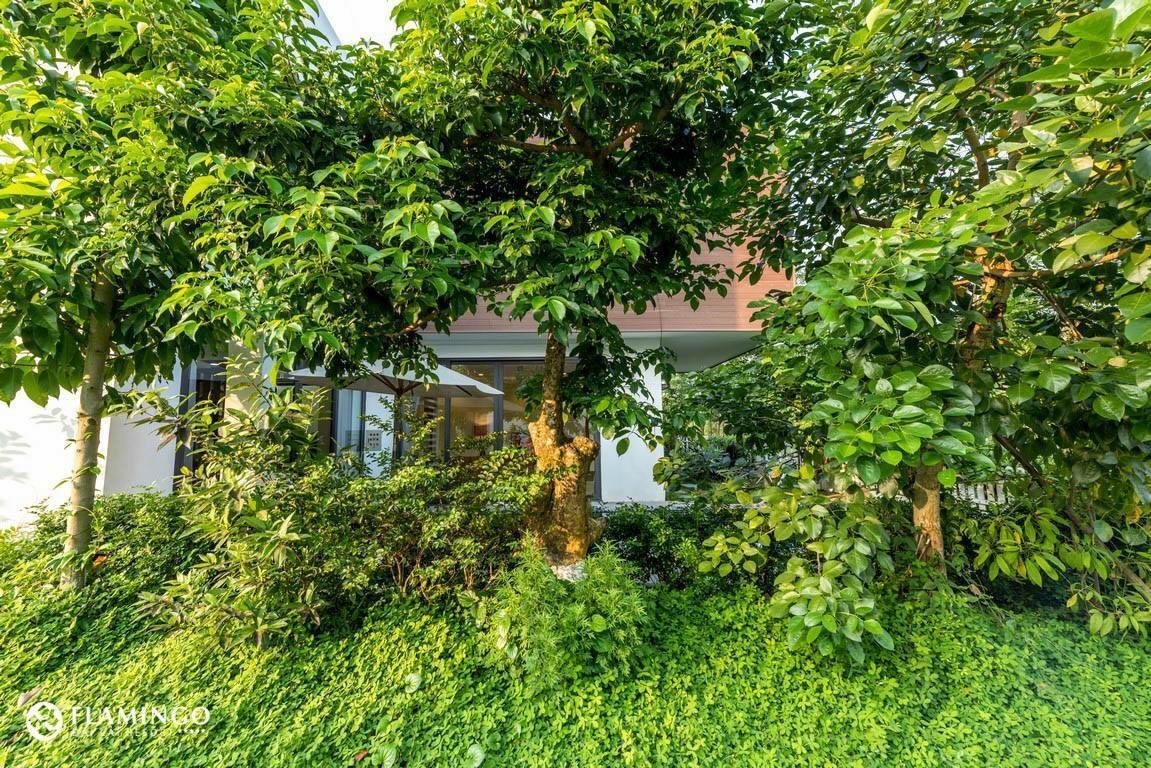 Flamingo Dailai - Hq Villa Ngọc Quang エクステリア 写真