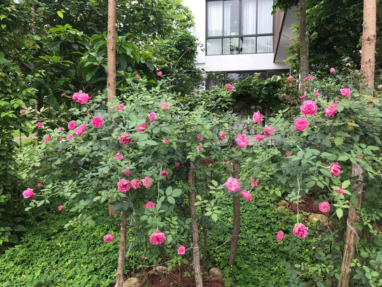 Flamingo Dailai - Hq Villa Ngọc Quang エクステリア 写真